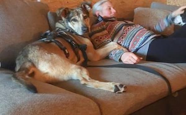 Janeiro sucht vertrauensvolles Zuhause