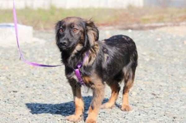 Abana unsere kleine Schönheit....