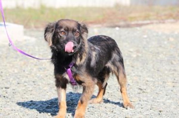 Abana unsere kleine Schönheit....