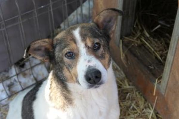 Zauberhafte Princess sucht ihre Menschen