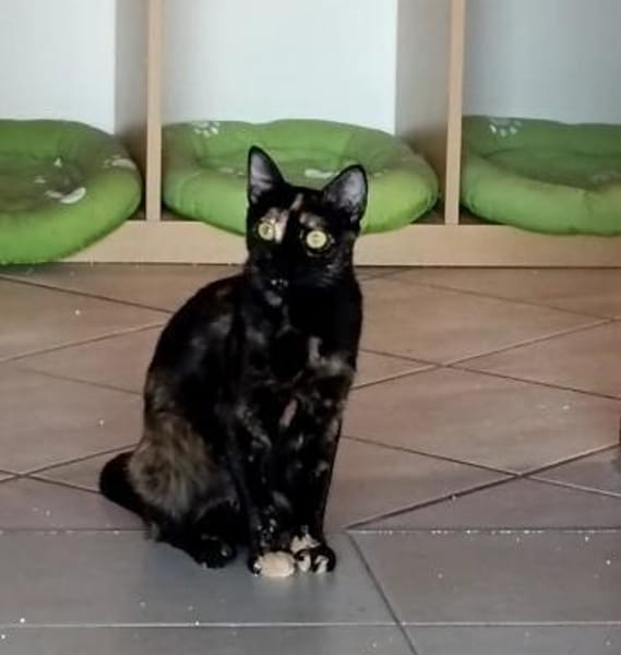 Hiba & Dalila suchen mit Freigang