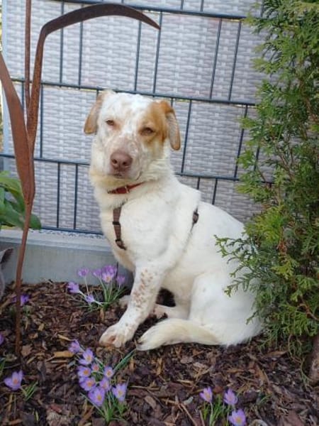 Sonnenschein sucht Dich