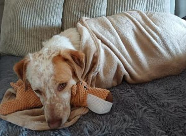 Sonnenschein sucht Dich