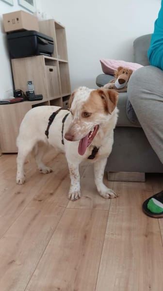 Sonnenschein sucht Dich