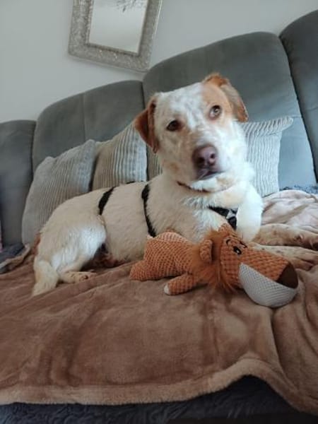 Sonnenschein sucht Dich