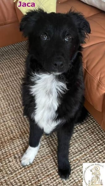 Jaca  unsere Herzensbrecherin♥