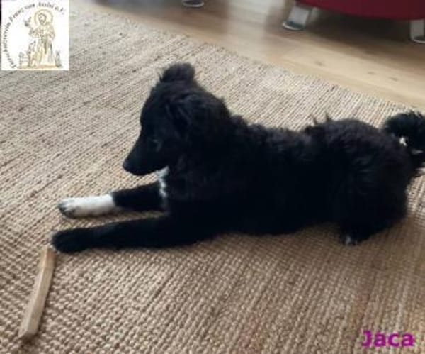 Jaca  unsere Herzensbrecherin♥