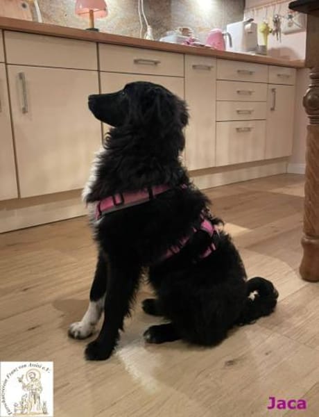 Jaca  unsere Herzensbrecherin♥