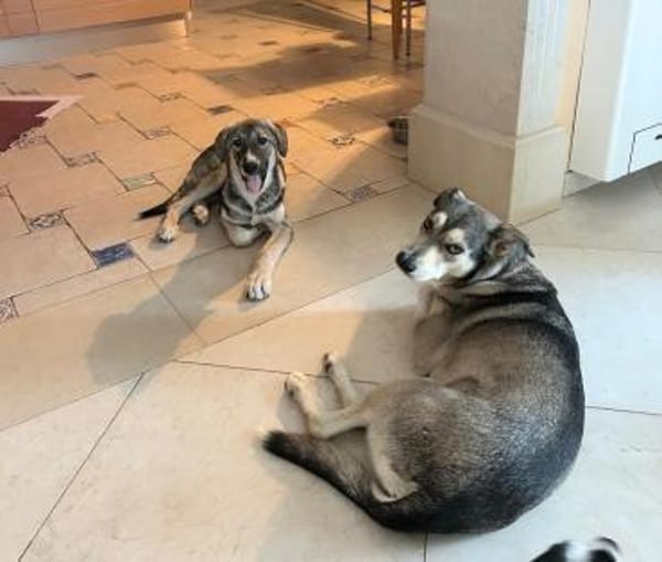 ARLO - braucht Sicherheit