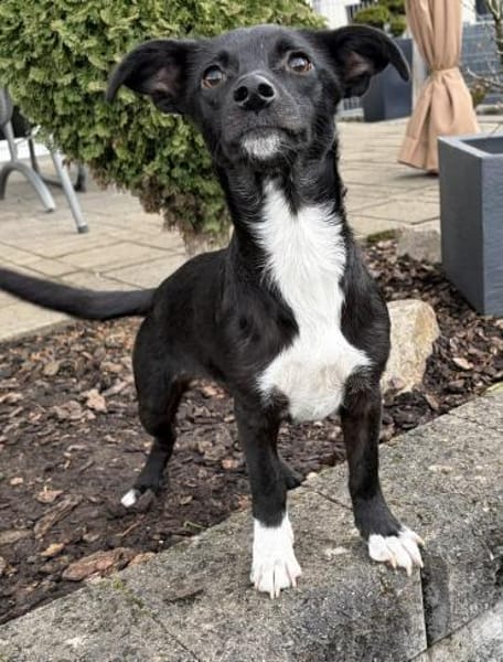 Minikleine süße Jamila sucht ihr Zuhause