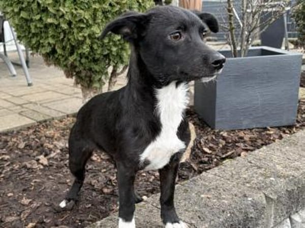 Minikleine süße Jamila sucht ihr Zuhause