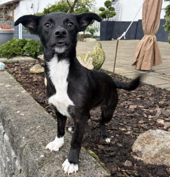 Minikleine süße Jamila sucht ihr Zuhause