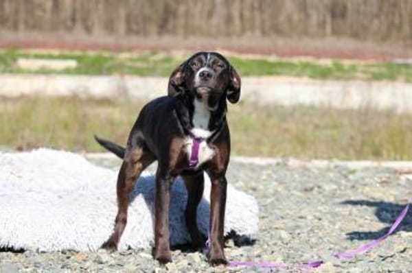 Wer schenkt Kamila ein zu Hause...