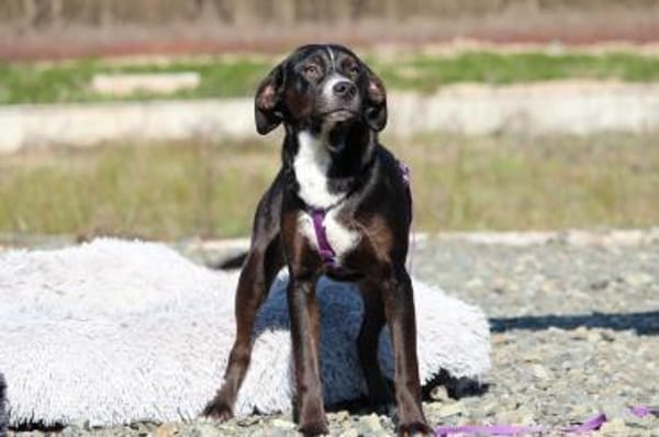 Wer schenkt Kamila ein zu Hause...