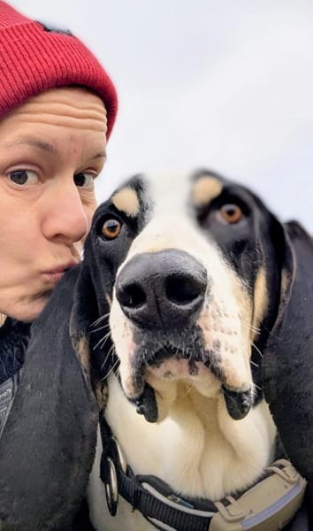 Momo sanfter Rüde auf Pflege in Hessen