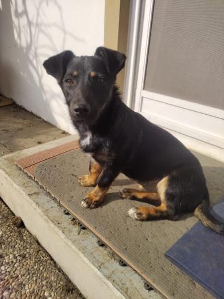 ❤Rina - auf der Suche nach ihrem Glück