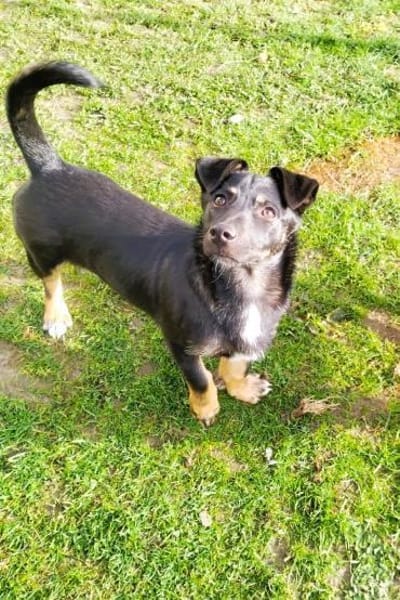 ❤Rina - auf der Suche nach ihrem Glück