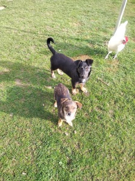 ❤Rina - auf der Suche nach ihrem Glück