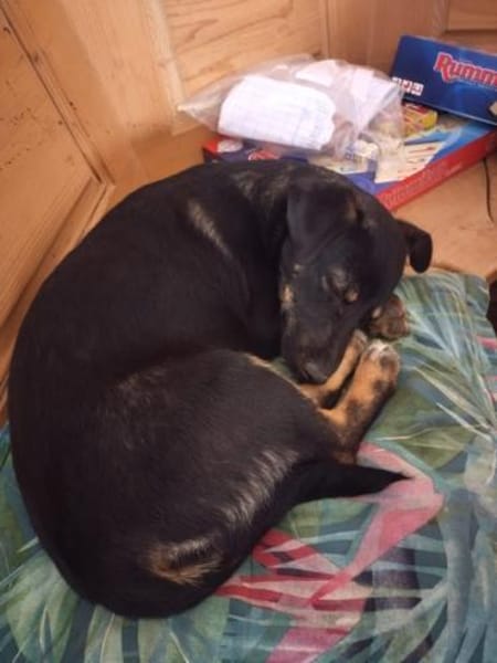 ❤Rina - auf der Suche nach ihrem Glück