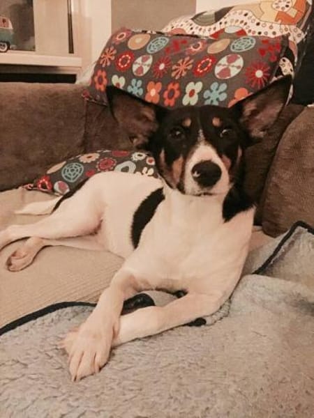 Bobby - hofft auf seine zweite Chance