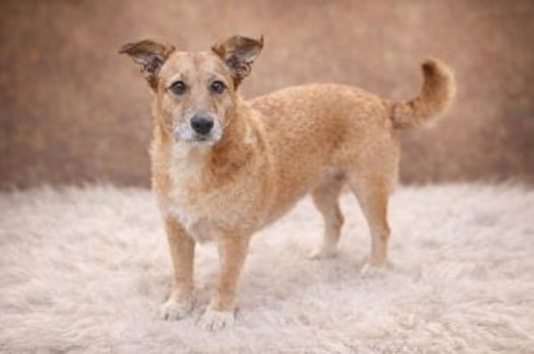 Hettike in 92237 Sulzbach-Rosenberg °