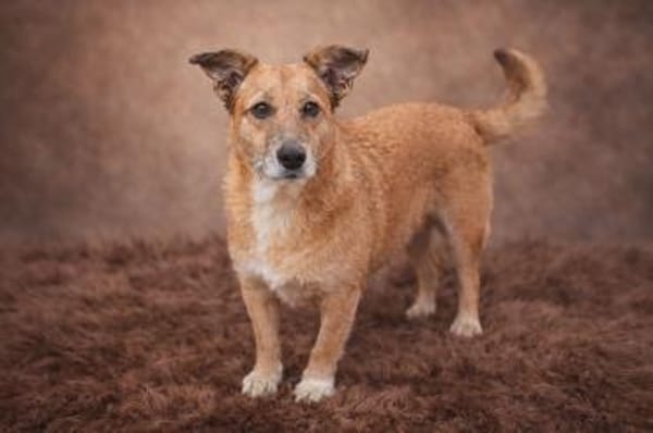 Hettike in 92237 Sulzbach-Rosenberg °