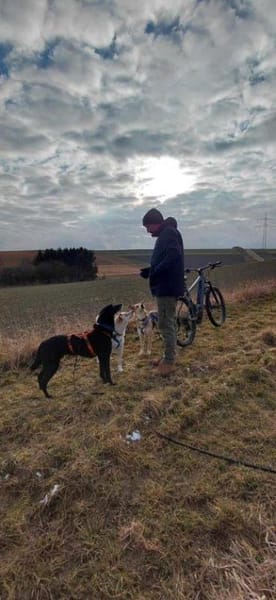 sehr lieber Rimo auf PS in 86637