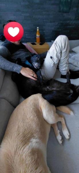 sehr lieber Rimo auf PS in 86637