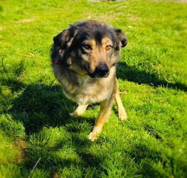 Warum will mich denn keiner???