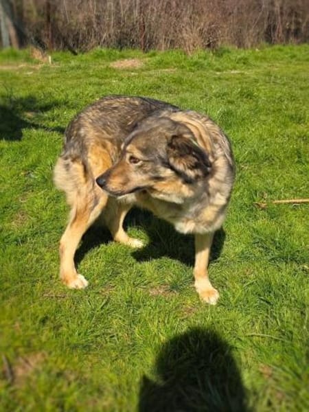 Warum will mich denn keiner???