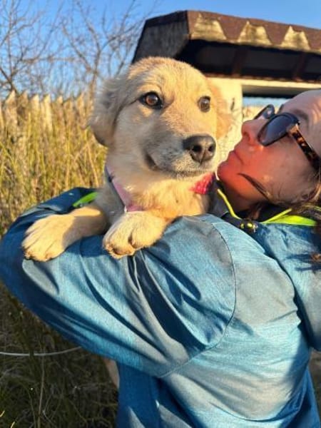 Welpe Hildi 5 Monate