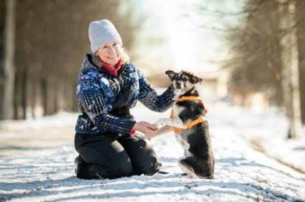 Johnny ❤sucht Für-Immer-Zuhause