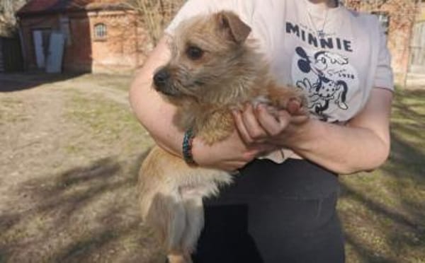 Die kleine Brie wartet auf dich