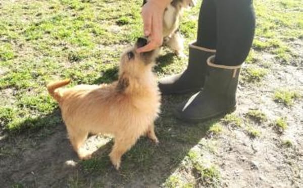 Die kleine Brie wartet auf dich