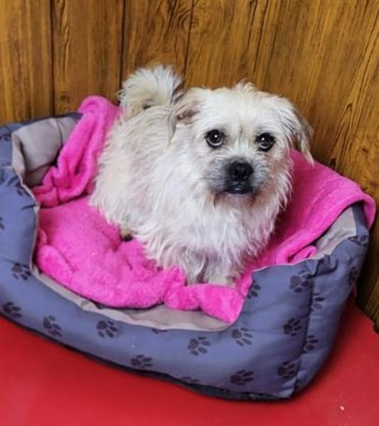 Kamilla in  45711 Datteln