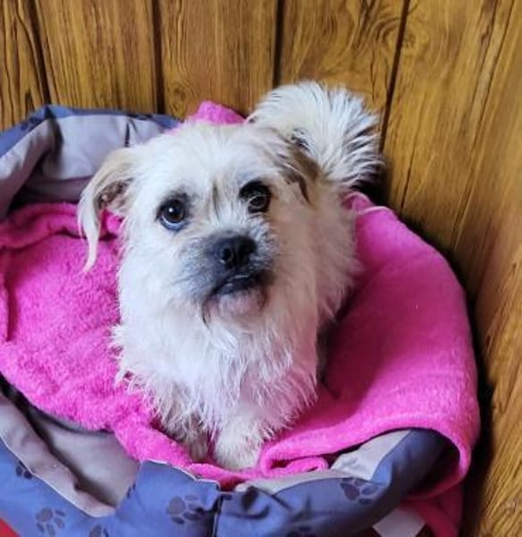 Kamilla in  45711 Datteln