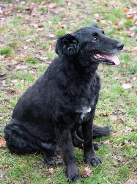 Sanfte Fiby hofft auf Happy End