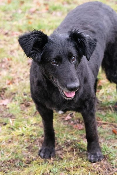 Sanfte Fiby hofft auf Happy End