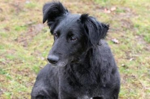 Sanfte Fiby hofft auf Happy End