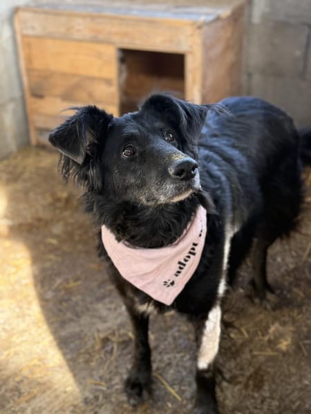 Sanfte Fiby hofft auf Happy End