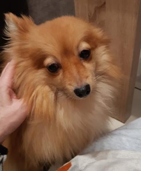 Kessy in 27478 Cuxhaven #