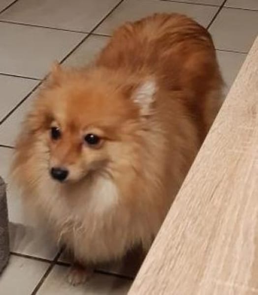 Kessy in 27478 Cuxhaven #