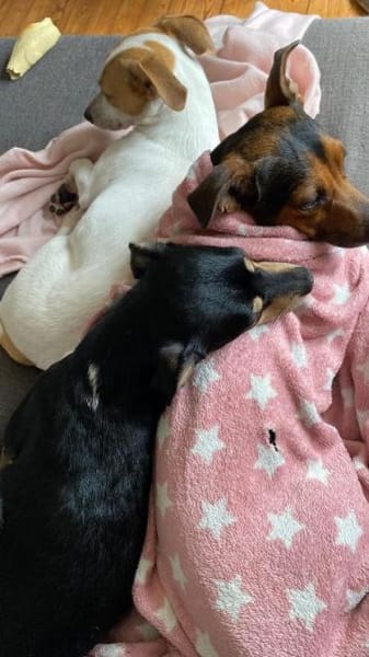 Ernie wartet und wartet.........