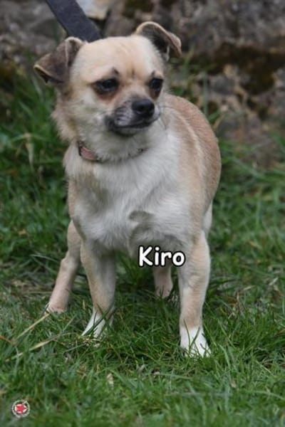 KIRO