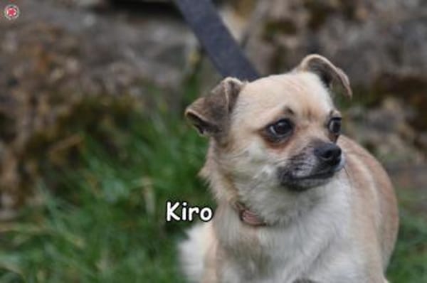 KIRO