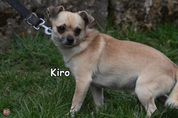 KIRO
