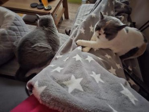 gemütliche Britinnen Mady u. Frida MUC