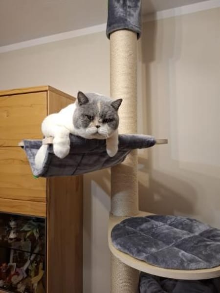 gemütliche Britinnen Mady u. Frida MUC