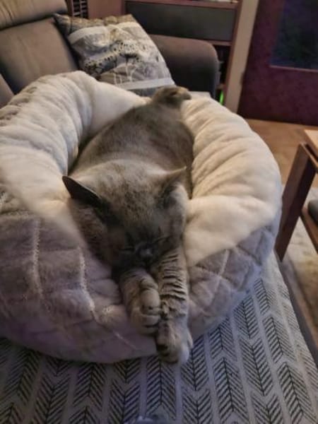 gemütliche Britinnen Mady u. Frida MUC