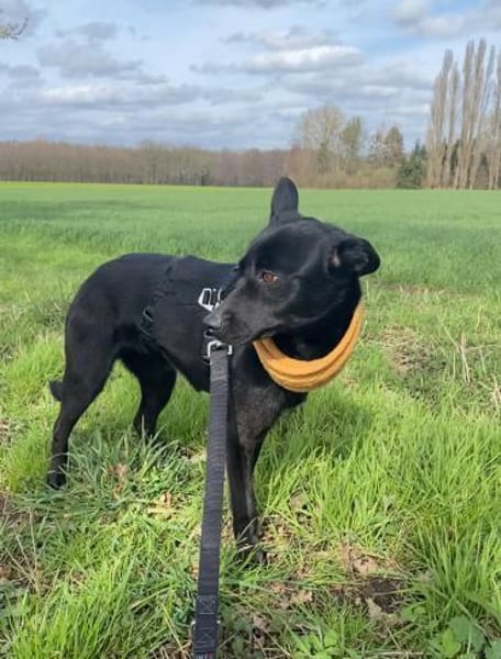 Bezaubernde Julie🐾❤